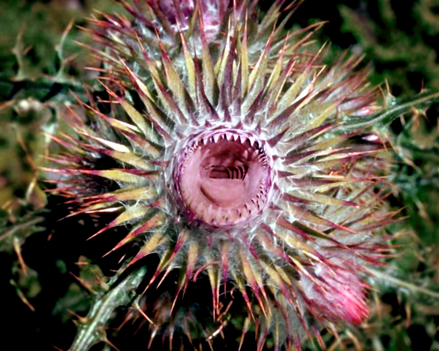 Design Photoshop par asmorod pour DesignCrowd (Community Contests) | Design #9121043