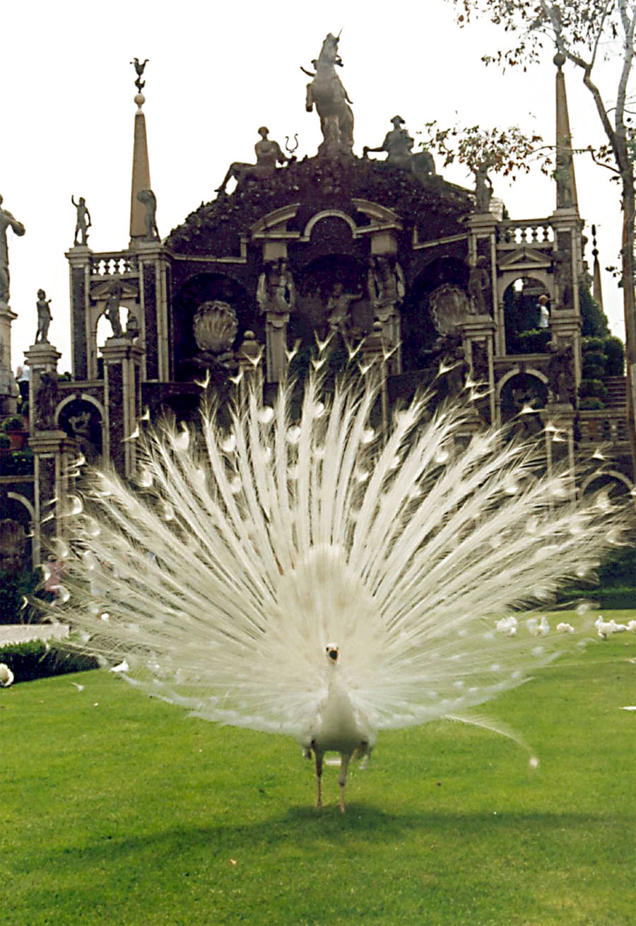 Photography by Netali for DesignCrowd (Community Contests) | Design #9117249