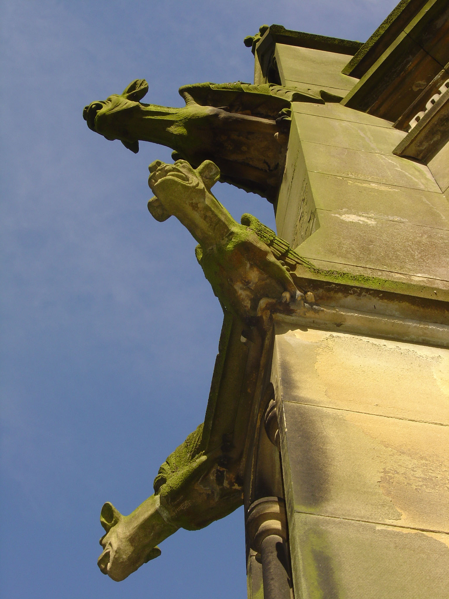 Photographie par treebloke pour DesignCrowd (Community Contests) | Design #9117753