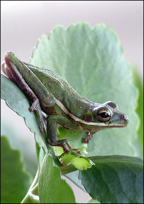 Photography by paddyjoe for DesignCrowd (Community Contests) | Design #9102984