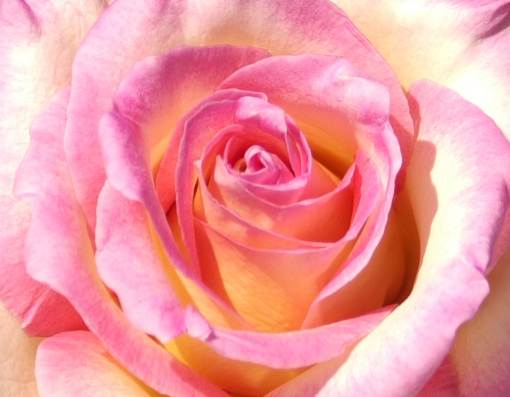 Photography by paparouna for DesignCrowd (Community Contests) | Design #9117797