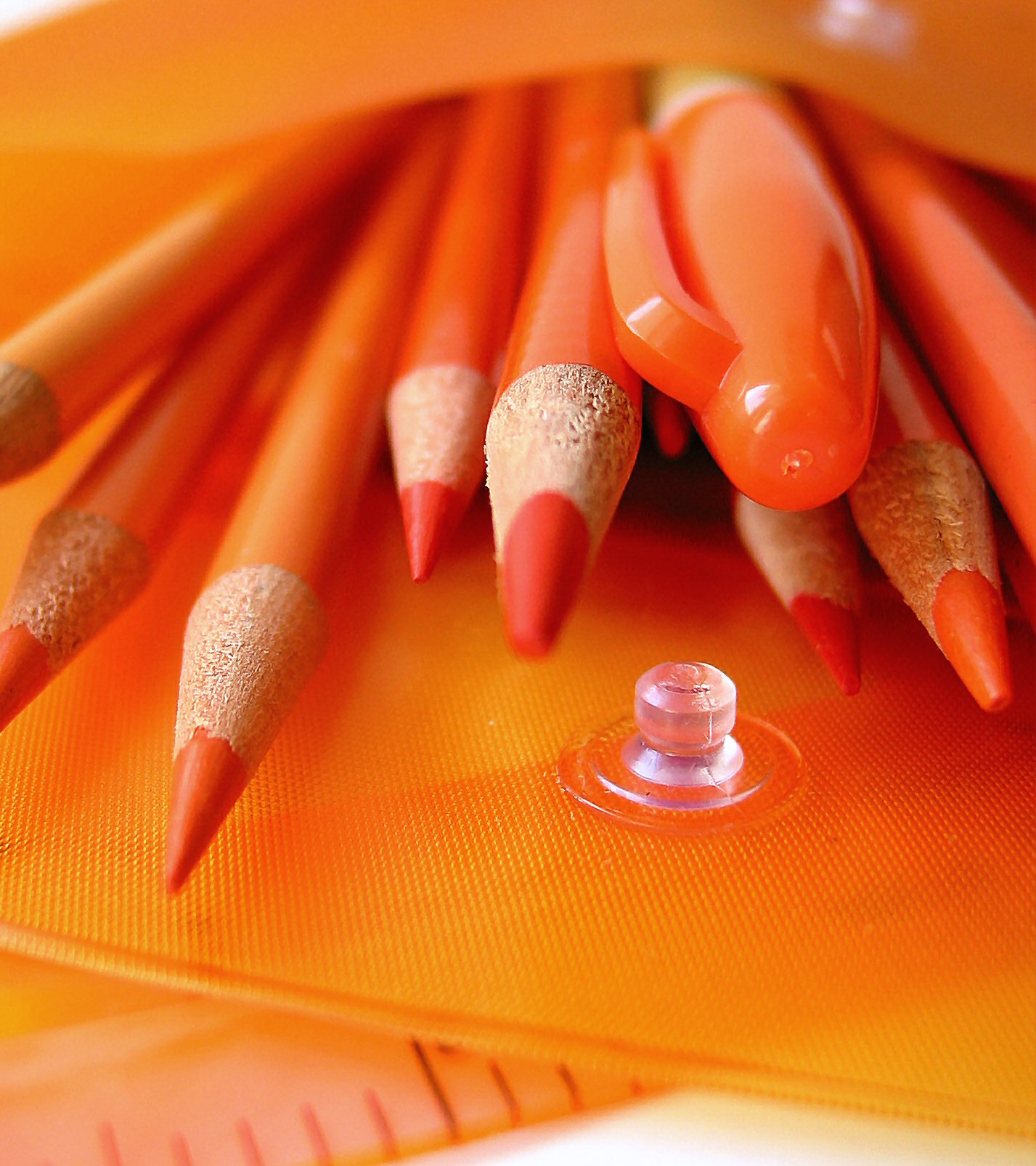 Photography by koalachimbo for DesignCrowd (Community Contests) | Design #9103001