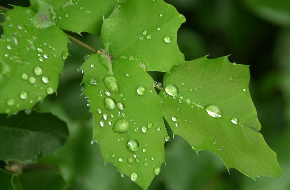 Photography by paparouna for DesignCrowd (Community Contests) | Design #9103046