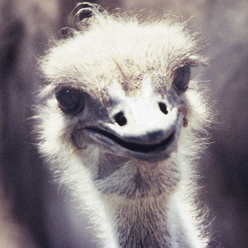 Photographie par blurmore pour DesignCrowd (Community Contests) | Design #9117127