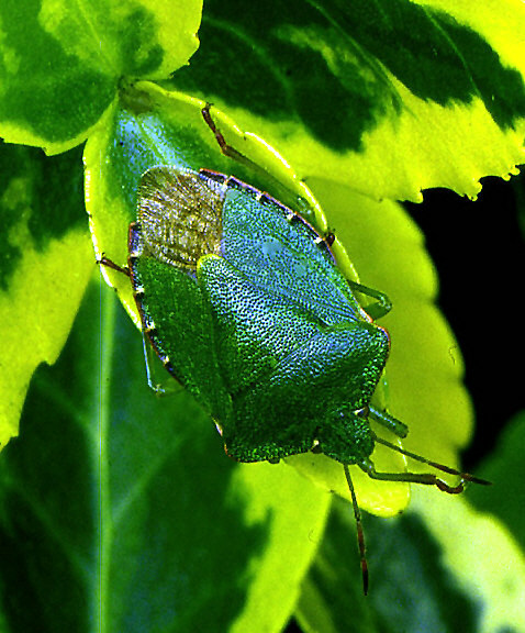 Photography by RitaRichter for DesignCrowd (Community Contests) | Design #9103007