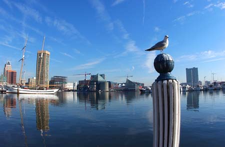 Photography by jwfudge for DesignCrowd (Community Contests) | Design #9117333