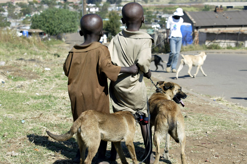 Photography by bostrom155 for DesignCrowd (Community Contests) | Design #9115299