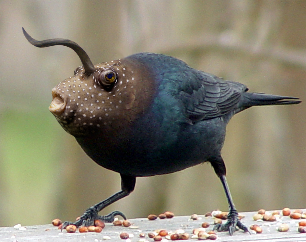 Photoshop Design by ecolio for DesignCrowd (Community Contests) | Design #9102544