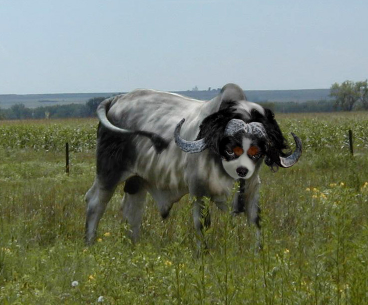 Photoshop-Design von lebbTN für DesignCrowd (Community Contests) | Design #9102557