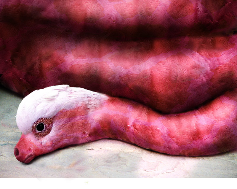 Photoshop Design by eDorie for DesignCrowd (Community Contests) | Design #9102582