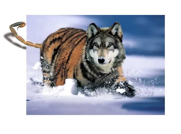 Photoshop Design by modine for DesignCrowd (Community Contests) | Design #9102655