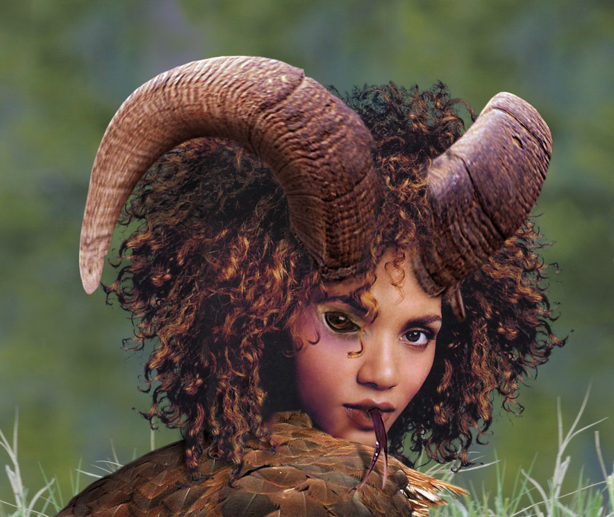 Design Photoshop par Pelican pour DesignCrowd (Community Contests) | Design #9102592