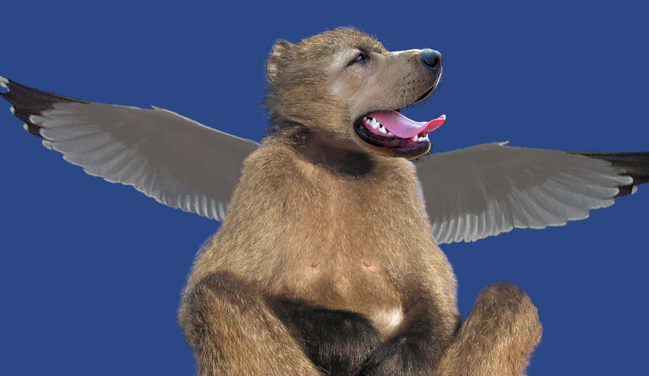 Photoshop Design by cadmium for DesignCrowd (Community Contests) | Design #9102767