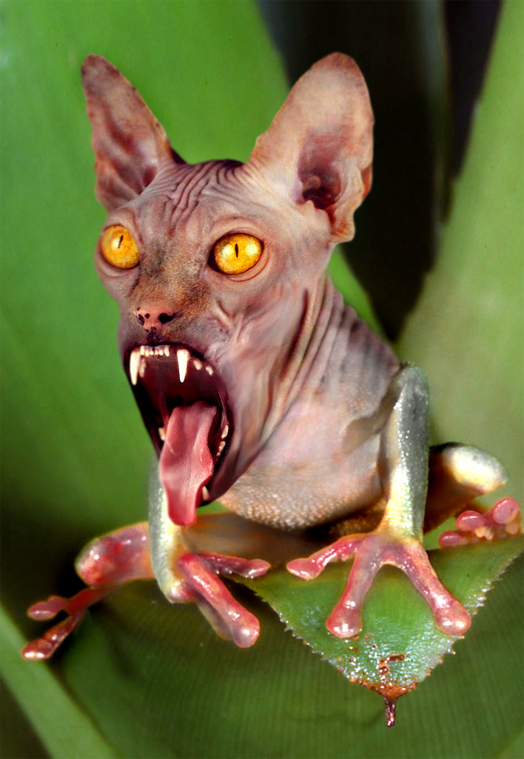 Photoshop Design by axwear for DesignCrowd (Community Contests) | Design #9102707