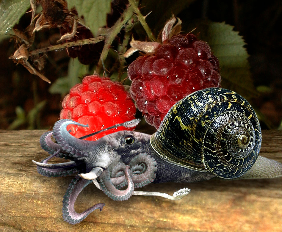 Design Photoshop par danceswithcameras pour DesignCrowd (Community Contests) | Design #9102672