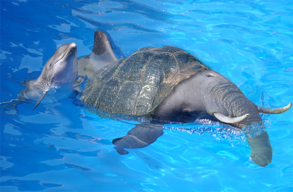 Photoshop Design by danfoxh for DesignCrowd (Community Contests) | Design #9102725