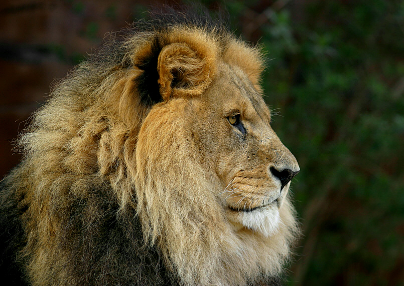 Photography by RitaRichter for DesignCrowd (Community Contests) | Design #9117834