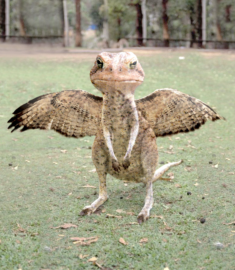 Photoshop Design by Redbull_UK for DesignCrowd (Community Contests) | Design #9102668