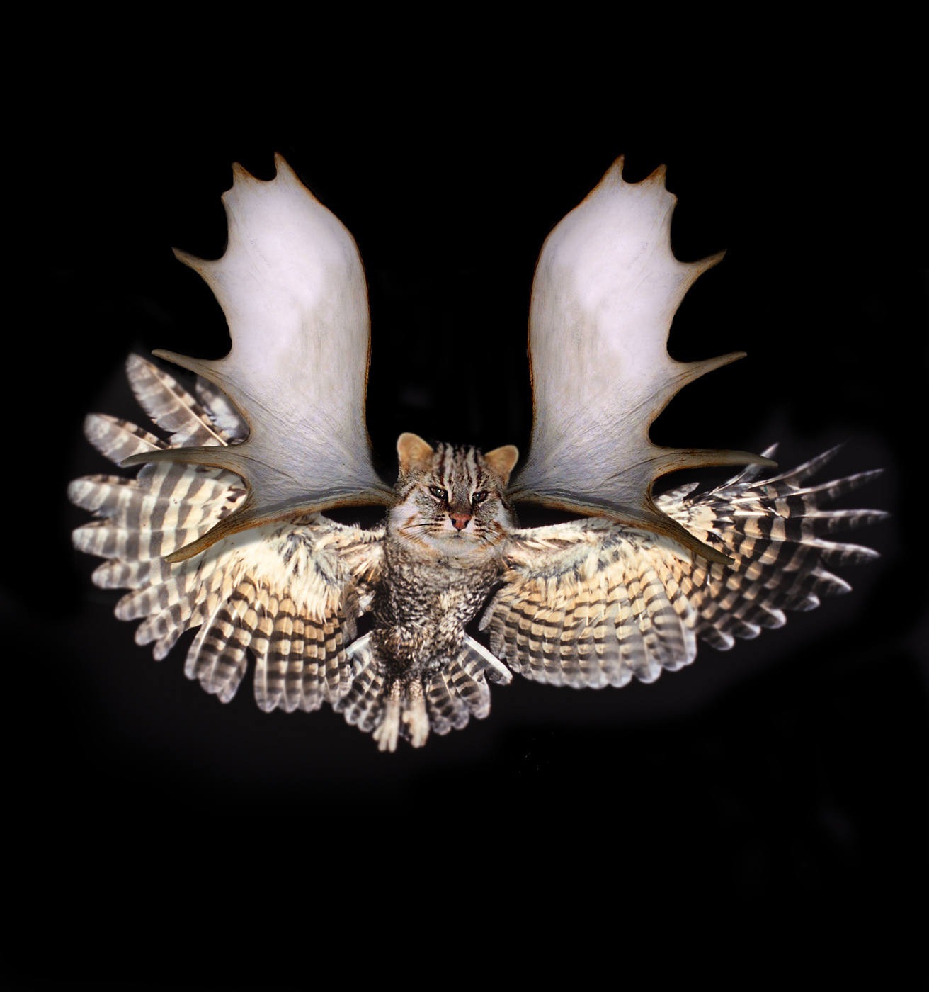 Photoshop Design by robayer for DesignCrowd (Community Contests) | Design #9102678