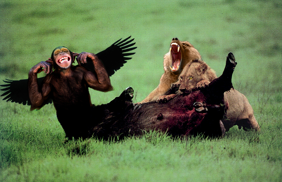 Photoshop Design by maggern for DesignCrowd (Community Contests) | Design #9102720