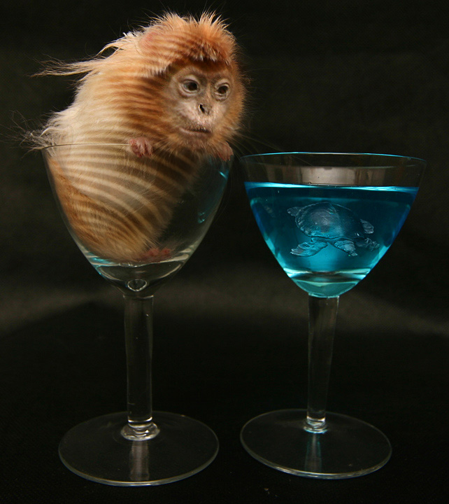 Diseño de Photoshop por eminavn para DesignCrowd (Community Contests) | Diseño #9102731