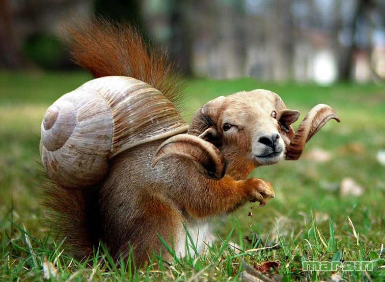 Photoshop Design by margin for DesignCrowd (Community Contests) | Design #9102810