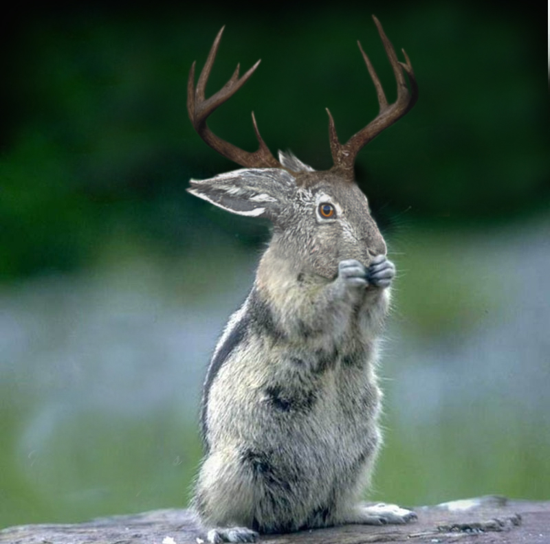 Diseño de Photoshop por octapuff para DesignCrowd (Community Contests) | Diseño #9102797