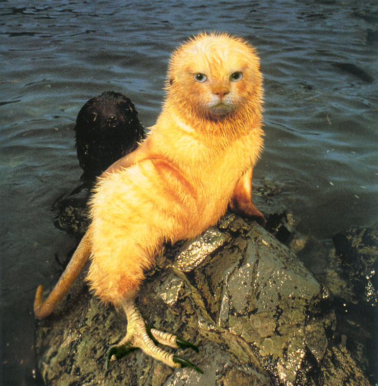 Photoshop-Design von cameon für DesignCrowd (Community Contests) | Design #9102790