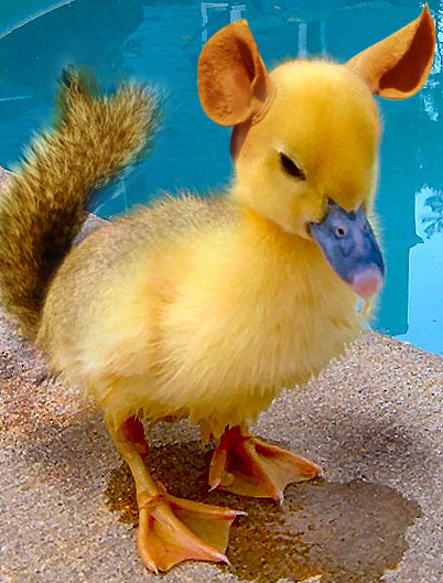 Design Photoshop par diechelle pour DesignCrowd (Community Contests) | Design #9102801