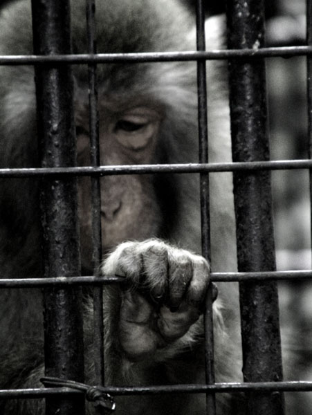 Photography by eslwinshot for DesignCrowd (Community Contests) | Design #9101951