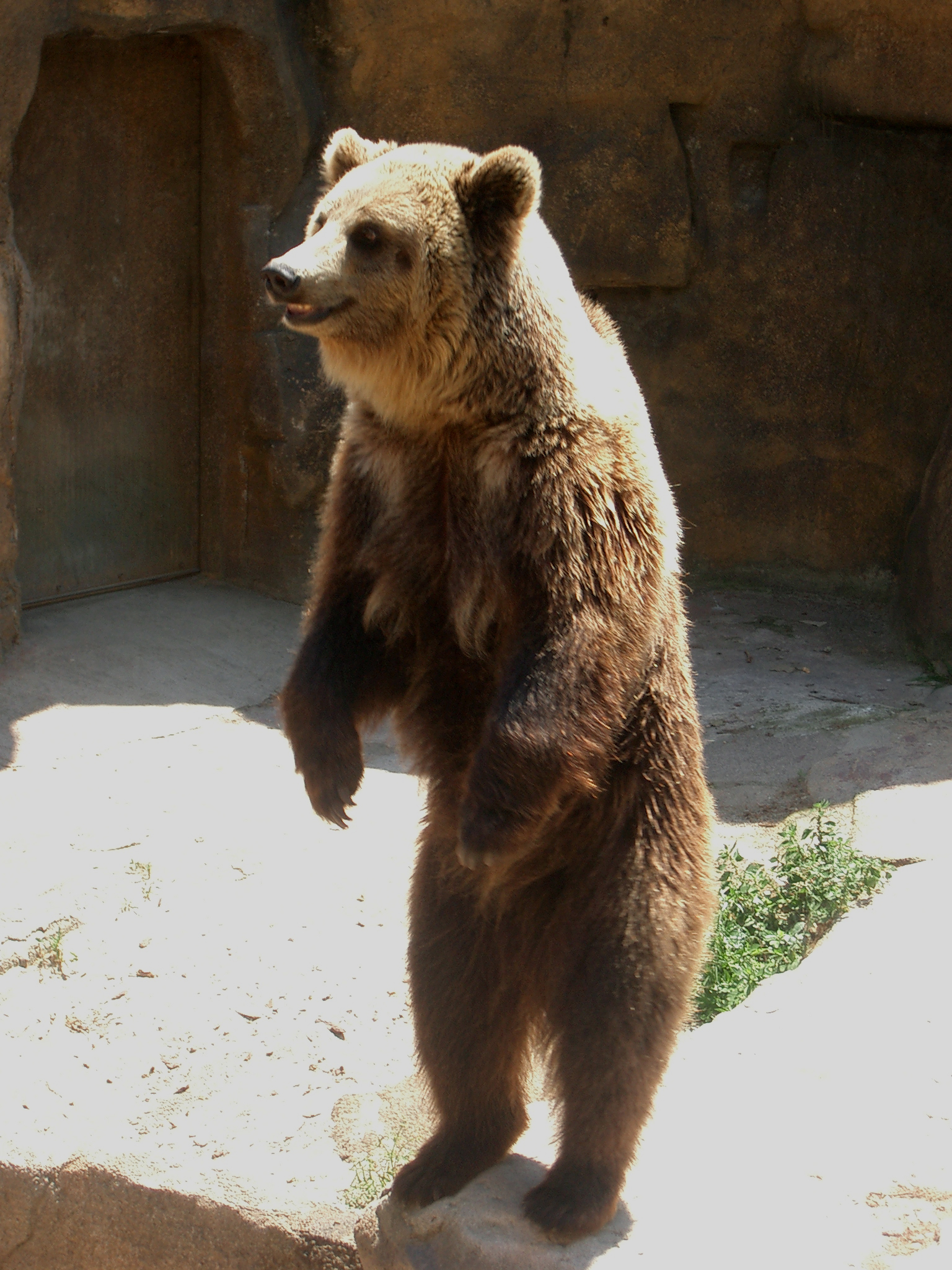 Photography by fotografalared for DesignCrowd (Community Contests) | Design #9101955