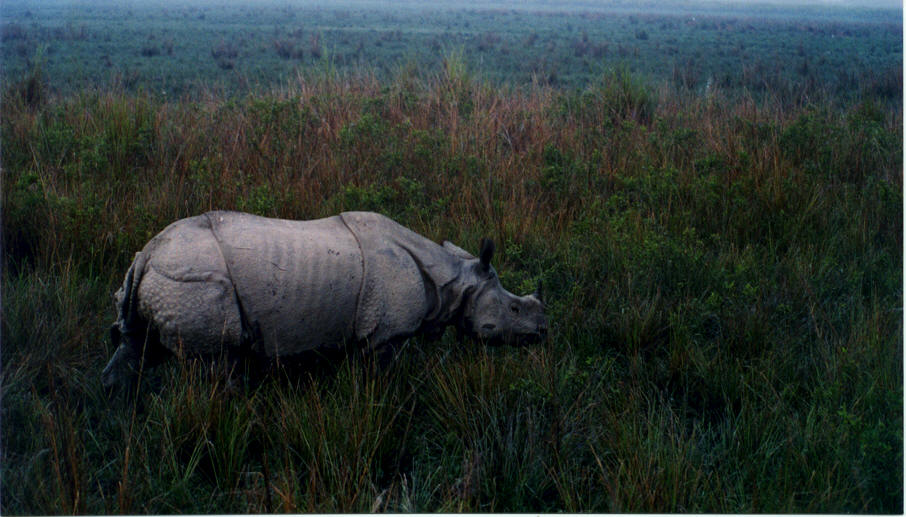 Fotografía por vgmn1956 para DesignCrowd (Community Contests) | Diseño #9101981