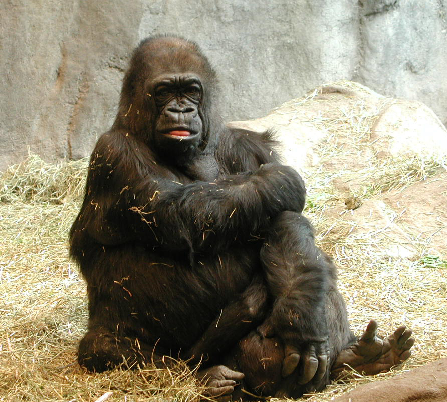 Photography by klxner for DesignCrowd (Community Contests) | Design #9101996