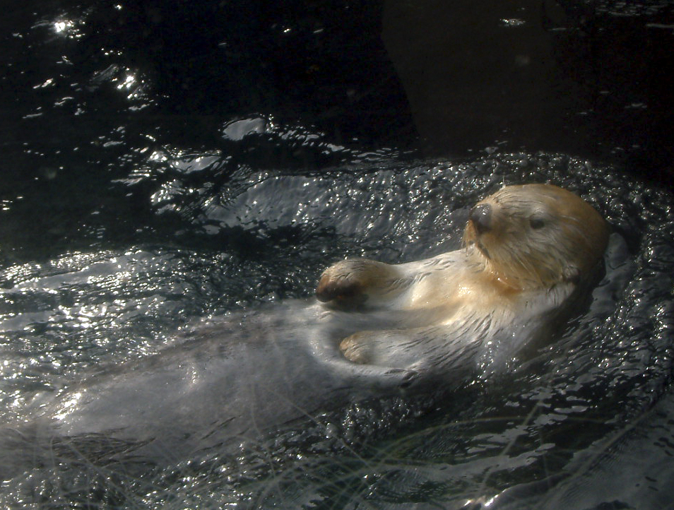 Photographie par vintagedept pour DesignCrowd (Community Contests) | Design #9101999