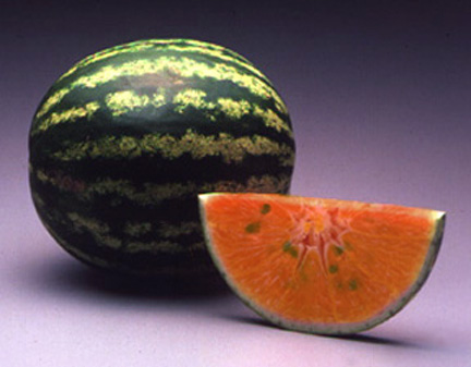 Photoshop Design by rdk for DesignCrowd (Community Contests) | Design #9120311