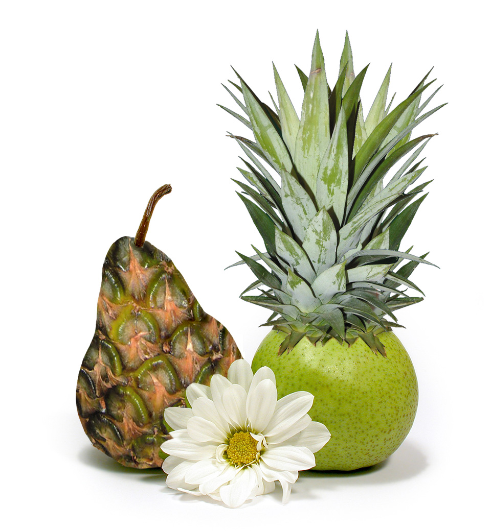 Photoshop Design by cadmium for DesignCrowd (Community Contests) | Design #9120325