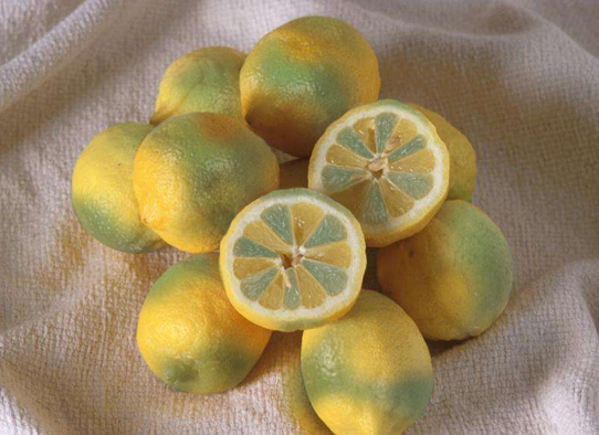 Photoshop Design by downside for DesignCrowd (Community Contests) | Design #9120333