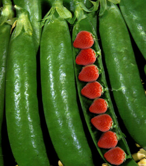 Photoshop Design by savagebrut for DesignCrowd (Community Contests) | Design #9120422