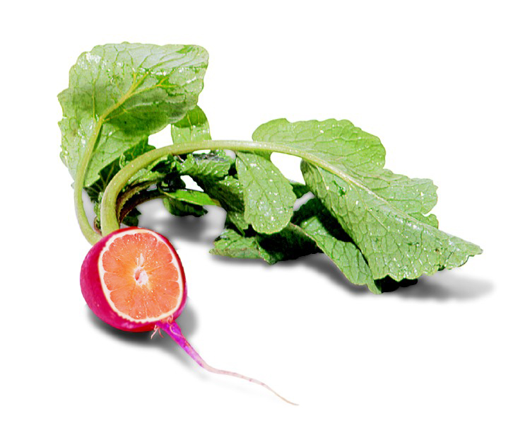 Photoshop Design by robvandebergh for DesignCrowd (Community Contests) | Design #9120459