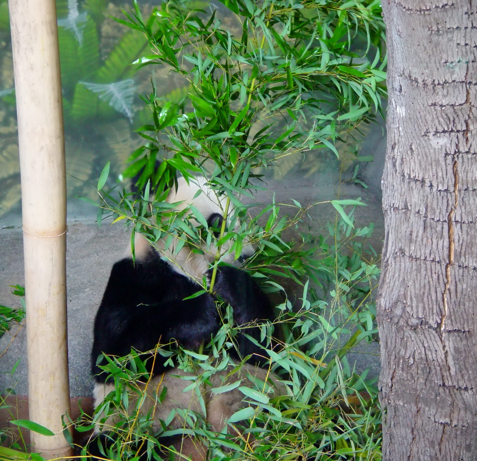 Photographie par modine pour DesignCrowd (Community Contests) | Design #9102069