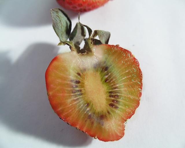 Photoshop-Design von Budmiester für DesignCrowd (Community Contests) | Design #9120468