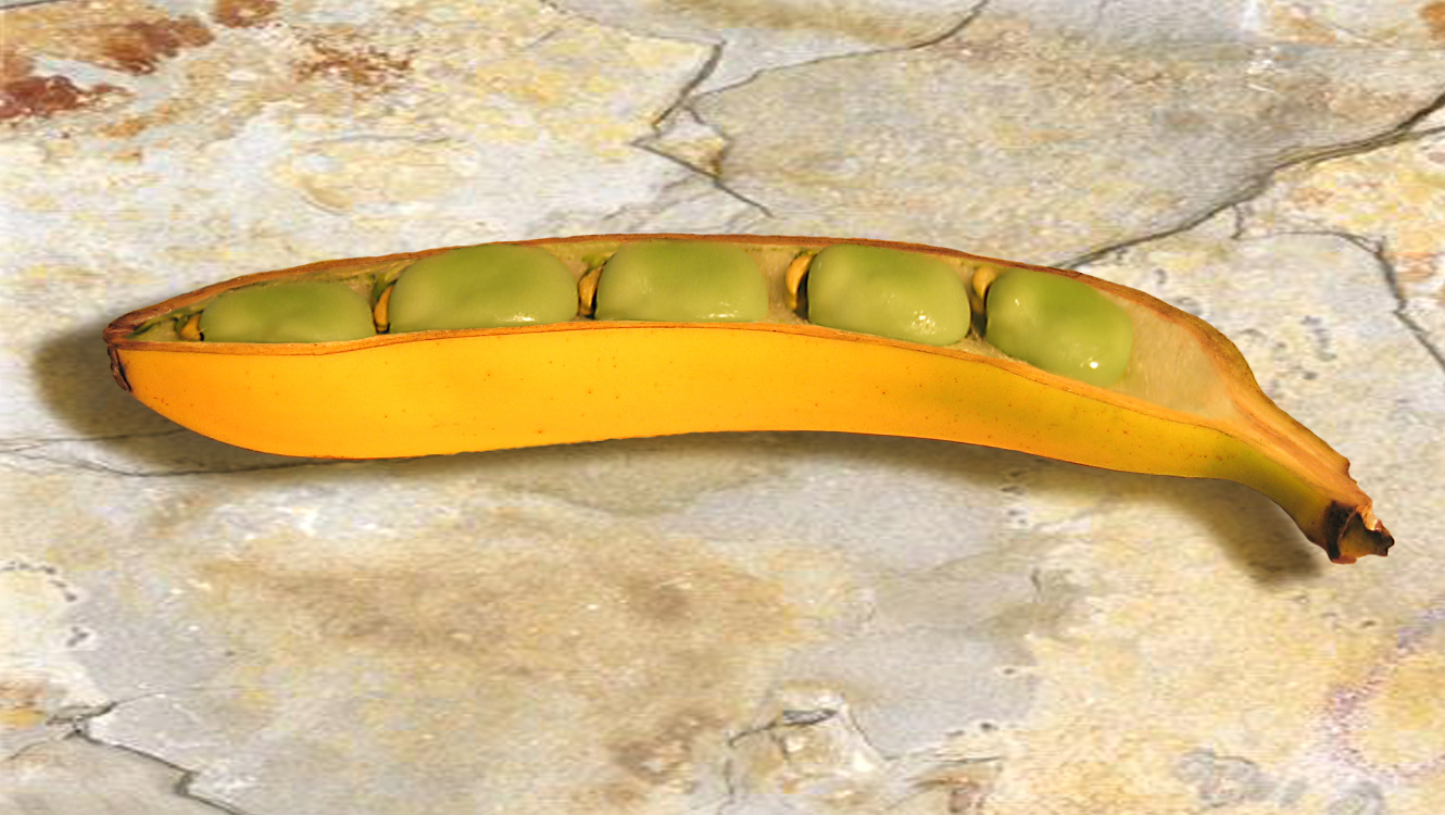 Photoshop Design by Netali for DesignCrowd (Community Contests) | Design #9120577