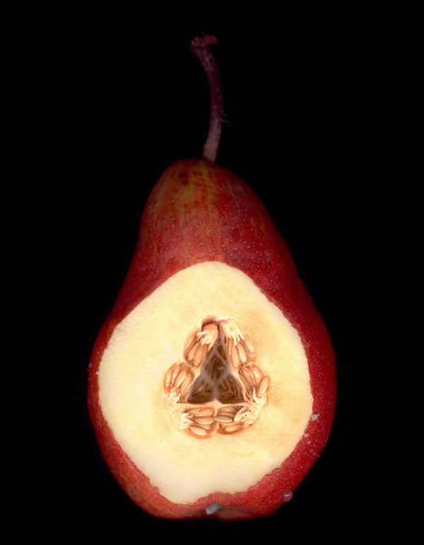 Photoshop Design by Pitinhas for DesignCrowd (Community Contests) | Design #9120517