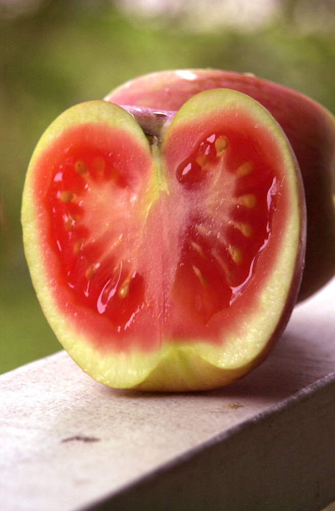 Photoshop-Design von paparouna für DesignCrowd (Community Contests) | Design #9120549