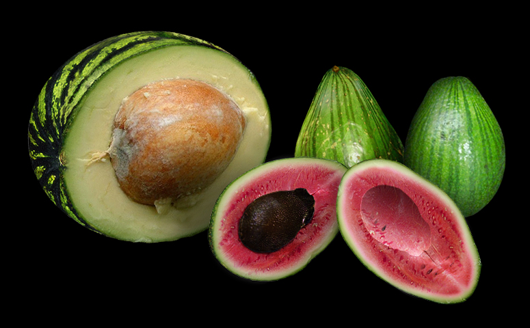 Design Photoshop par UNSUB1 pour DesignCrowd (Community Contests) | Design #9120544