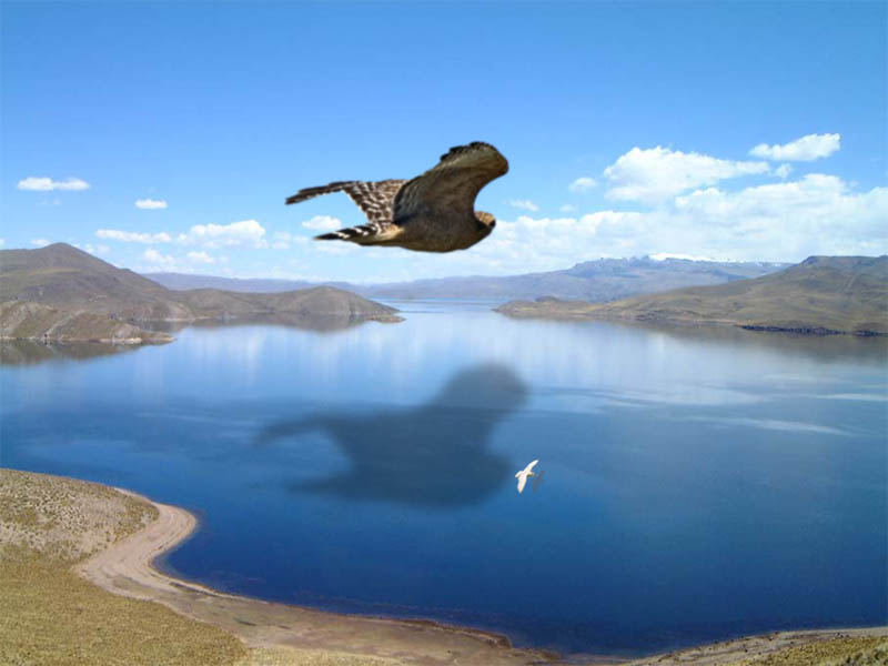 Photoshop Design by rlover for DesignCrowd (Community Contests) | Design #9122201