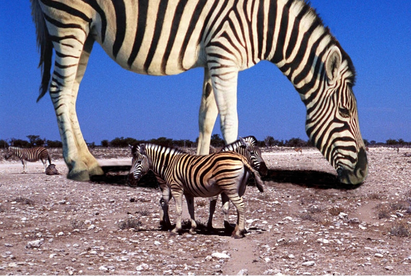 Diseño de Photoshop por RedCrossEyed para DesignCrowd (Community Contests) | Diseño #9122163