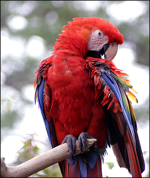 Photography by paddyjoe for DesignCrowd (Community Contests) | Design #9102076