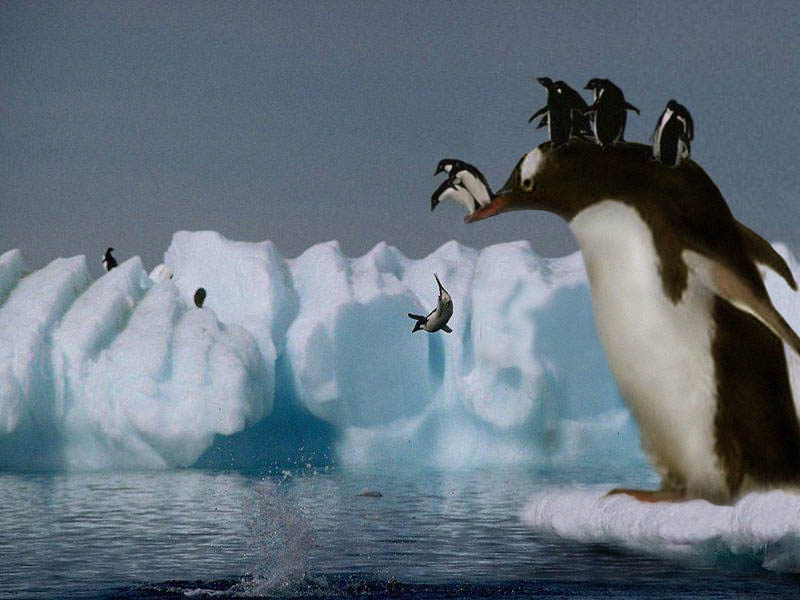 Photoshop Design by Nicky666 for DesignCrowd (Community Contests) | Design #9122291