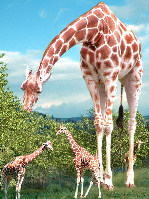 Photoshop-Design von cameon für DesignCrowd (Community Contests) | Design #9122329